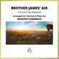 BROTHER JAMES' AIR P.O.D. cover